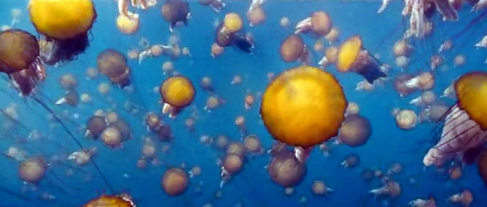 Oceans