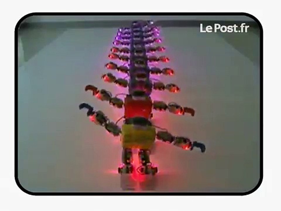 Noël : le meilleur du pire !