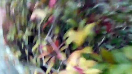 Desjaponais effrayés par le séisme évacuent leur maison