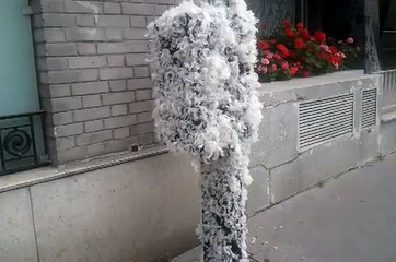 Un horodateur recouvert de goudron et de plumes à Paris