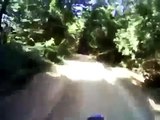 Dirt Biker Hits Black Bear