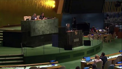 UN Speeches:  Suriname Minister for Foreign Affairs Niermala