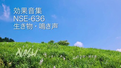福嶋啓至　心安らぐメロディー