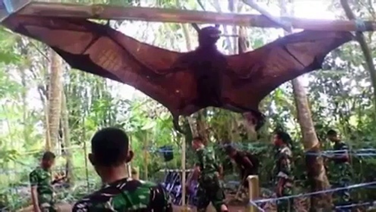 Barma Bat Attack, Bat Attack