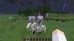 Minecraft 1.9 Snapshot 15w38a- Skeleton Horses, Skeletal Riders!