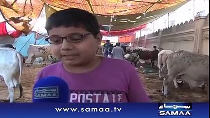 Samaa News - talking animals at EID ul Adha