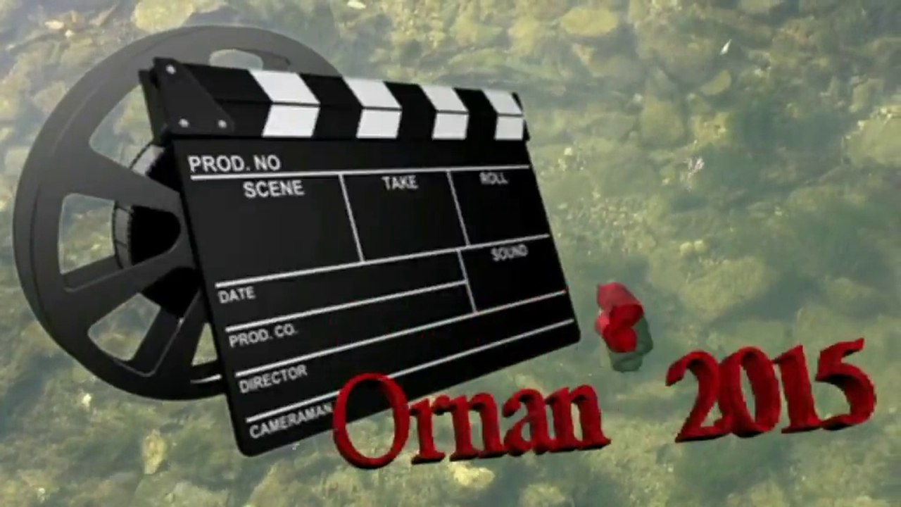 VISITE A ORNANS 2015