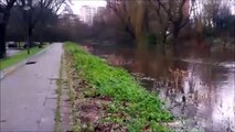 Timelapse Zeitraffer - Pinneberg Dezember Regen 2014  /Full Film/Ganzer Film/Complete Movie