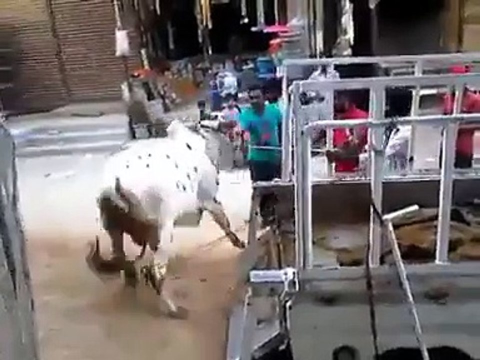 Gai Bhaag Gaye