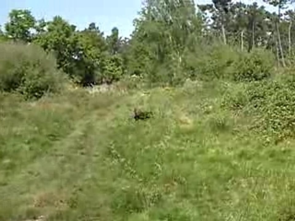 CLIP0042