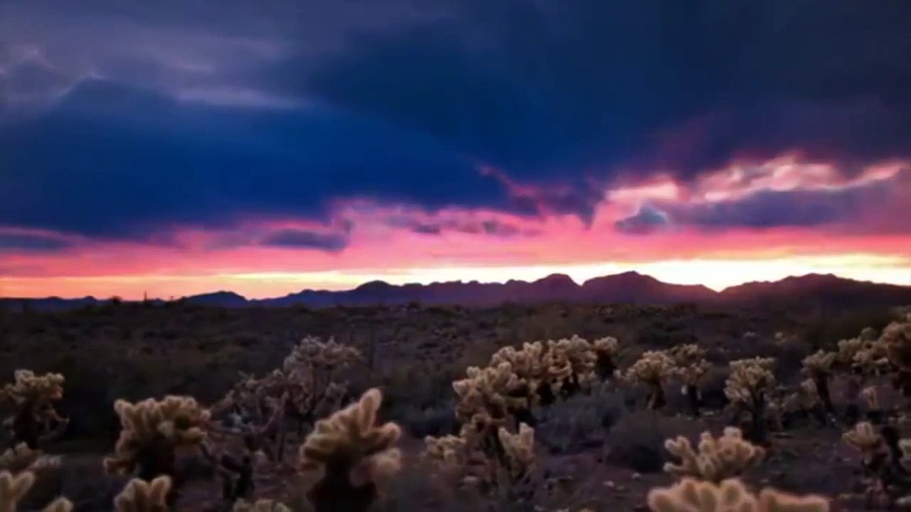 الإستدراج ~ الشيخ فريد الأنصاري رحمه الله