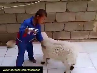 Buatiful chaild fighting @ with dumba