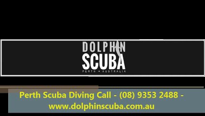 Perth Scuba Diving Call - (08) 9353 2488 - www.dolphinscuba.com.au