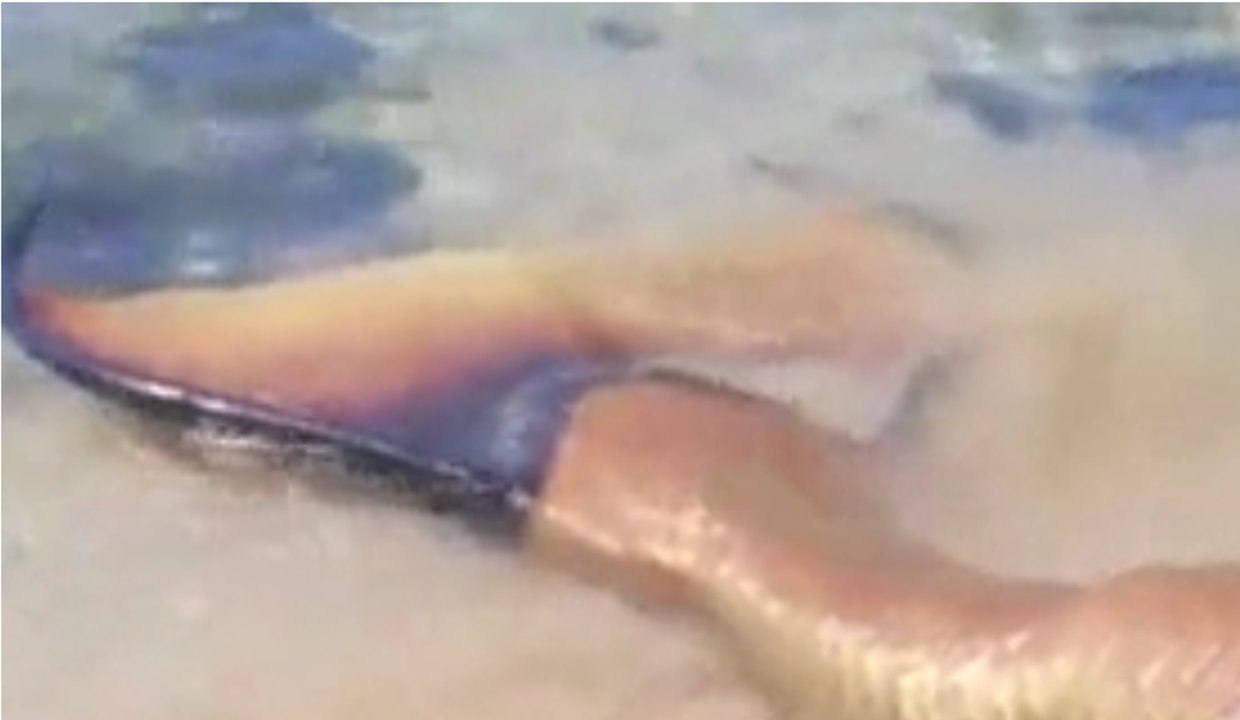 OMG! How It is Possible?