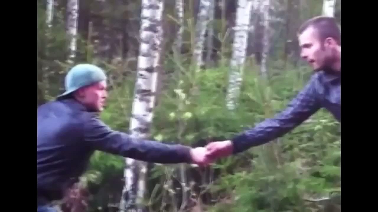 Берёза отомстила