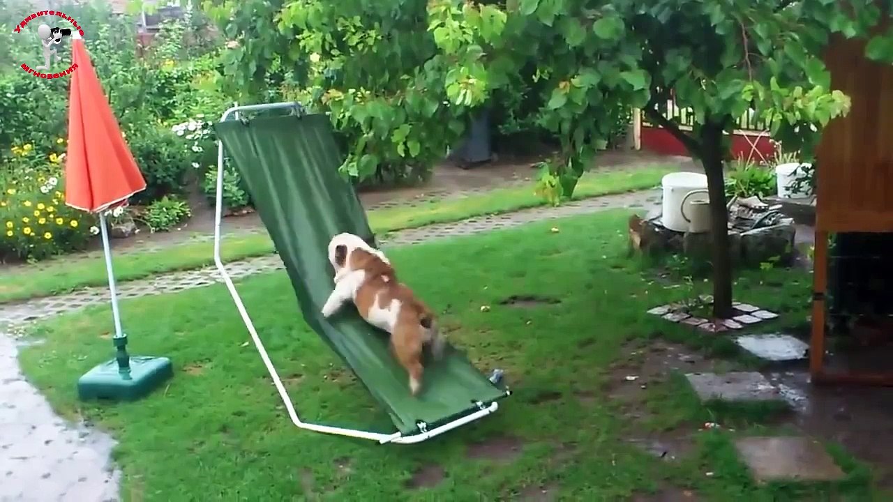 Теща моя  Сборник приколов