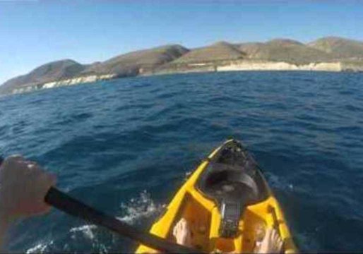 Kayak Fisherman Battles Hammerhead Shark