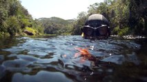 Mergulho, apneia, aguas rasas e cachoeiras da Serra do Mar, São Pulo, Brasil, 2015
