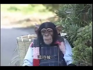 tell me if u dont laugh.................