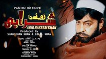 Pashto Film Zwee Da Sharabi Hits 2