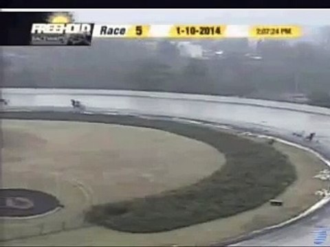 LiveLeak.com - Starting car runs into horses