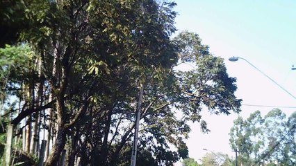 Mtb com amigos e amigas em Taubaté, SP, Brasil