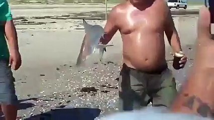Holding A Baby Shark Goes Wrong - watch Amazing video online on dailymotion