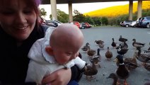Sick Baby Ezra Delights in Seeing Ducks