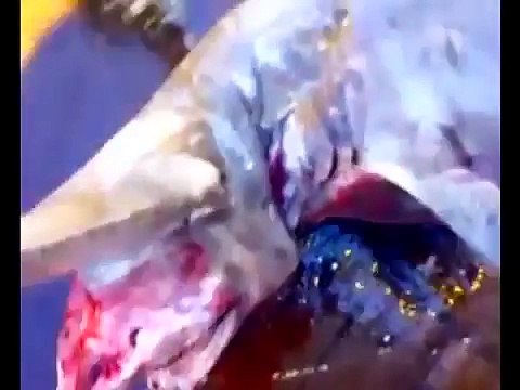 Сердца миллионов людей встрепенулись от произошедшего