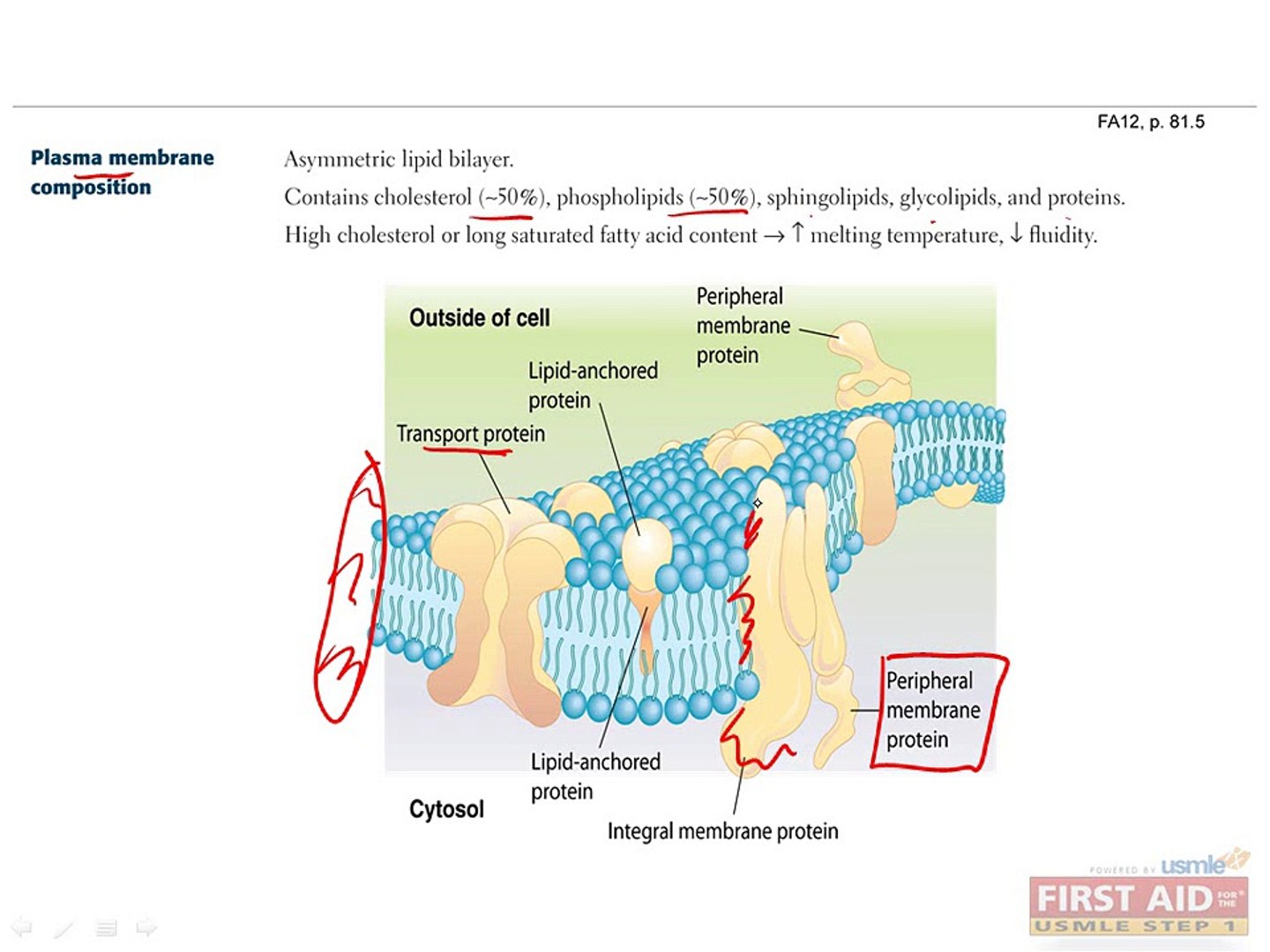 Biochemistry Cellular