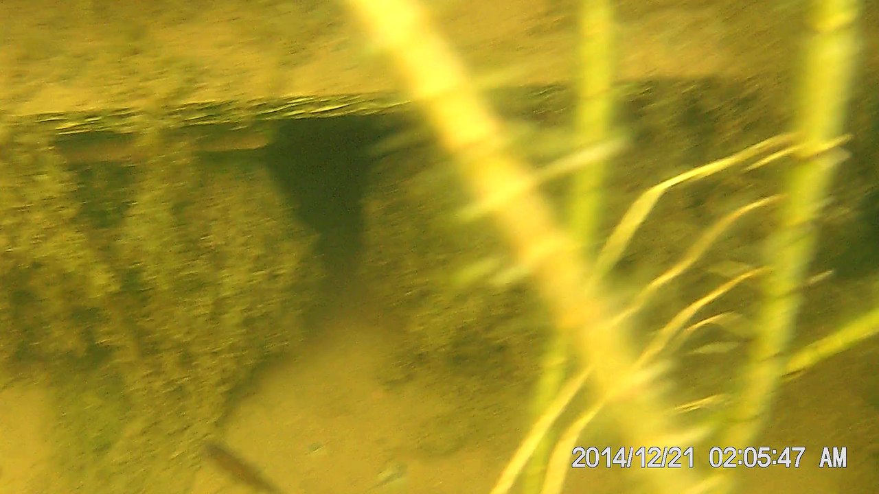 vlc-record-2015-09-26-15h49m07s-DSCF0008.AVI-