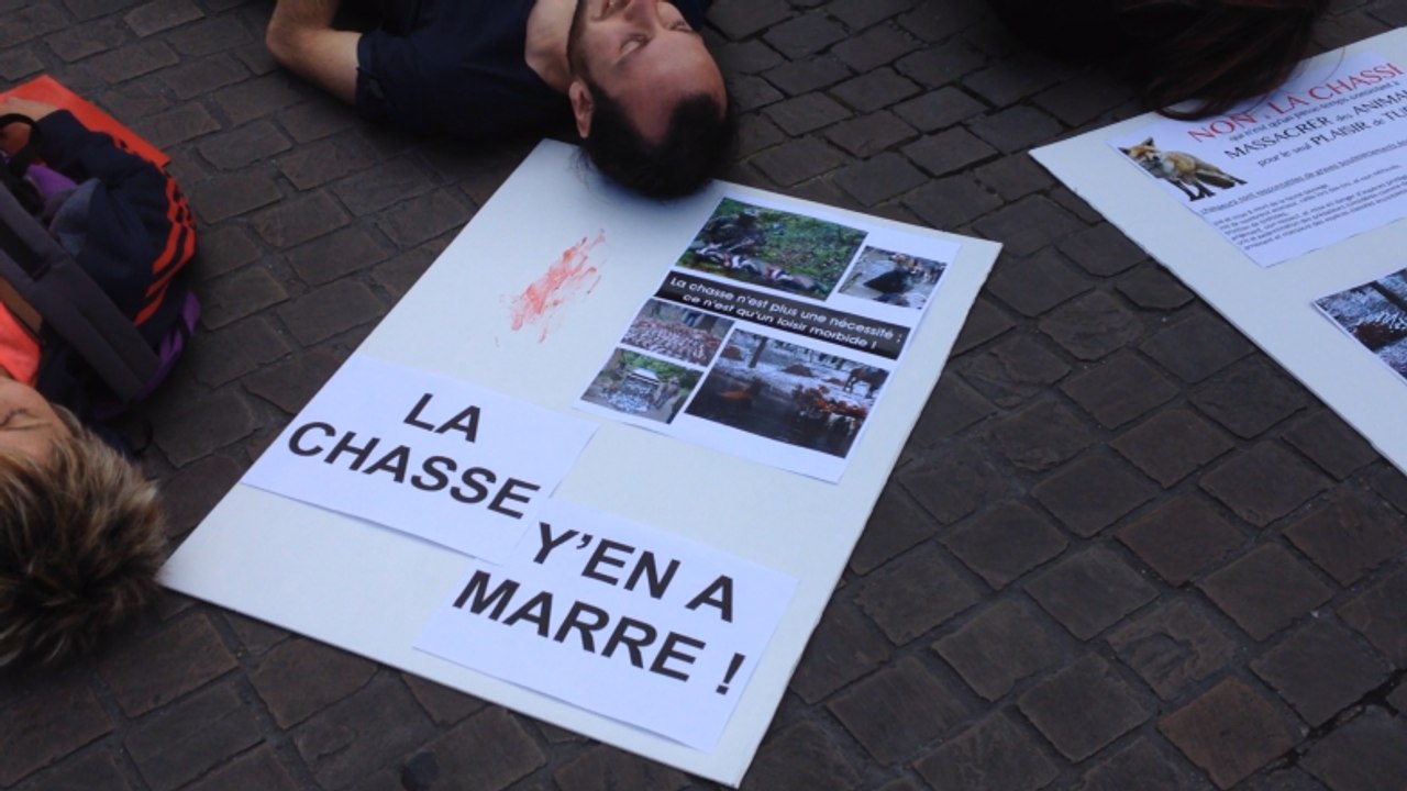 Manifestation contre la chasse