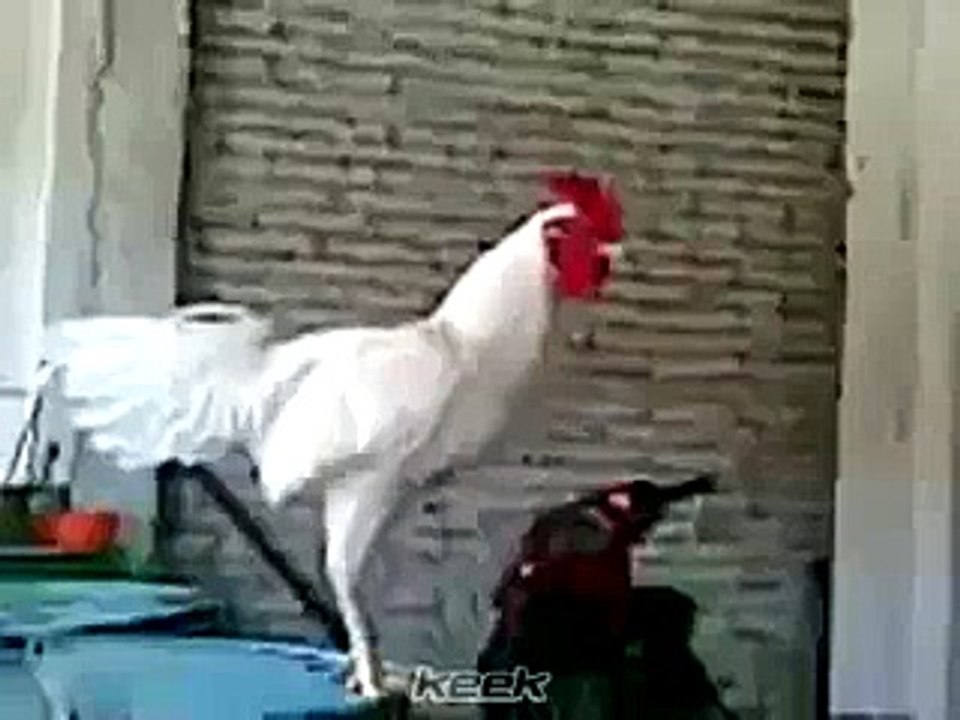 hen saying allah