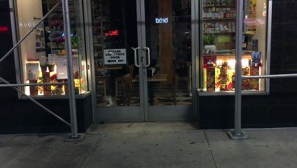 This mouse makes a hungry Cat crazy jumping by the window