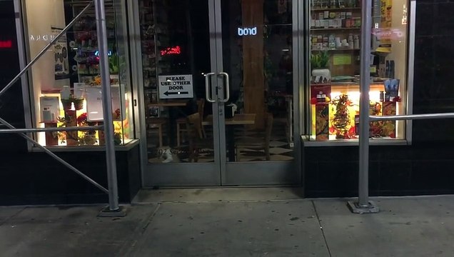 This mouse makes a hungry Cat crazy jumping by the window