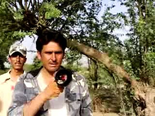 Pakistani Movie Dill Jale new urdu  hindi