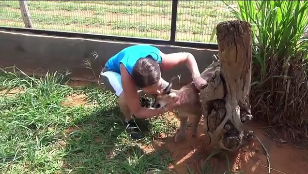 Animal Sanctuary Volunteer Charts Her Most Memorable Moments