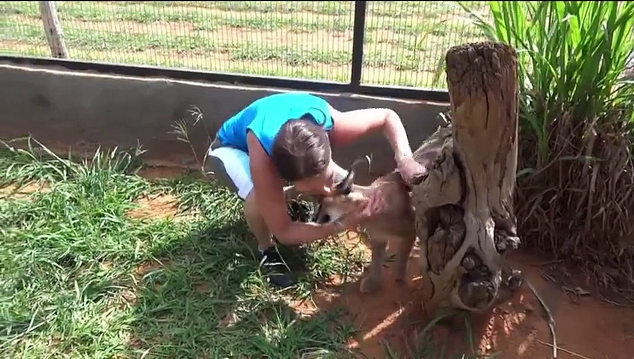 Animal Sanctuary Volunteer Charts Her Most Memorable Moments