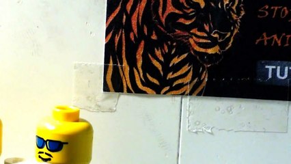 Green Screen Tutorial