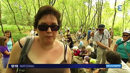 Brocéliande : une forêt magique