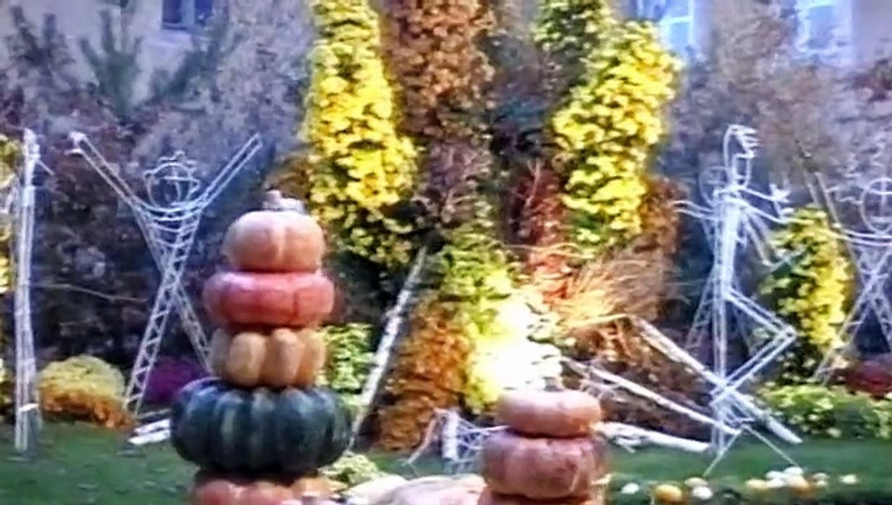 "ACJ Macon" Les Polysongs à "Maestria Une Symphonie Florale". Audition d'eleves du Conservatoire.