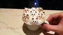Incredible coffee