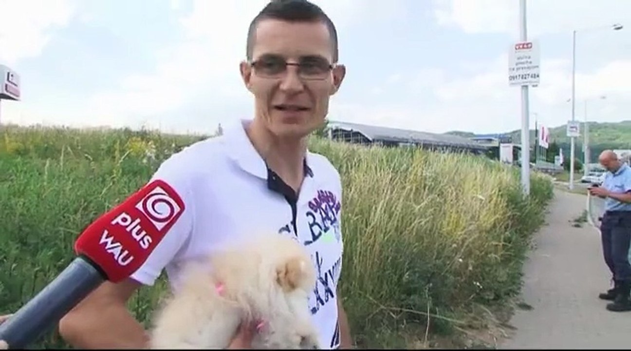 the savior of ducklings