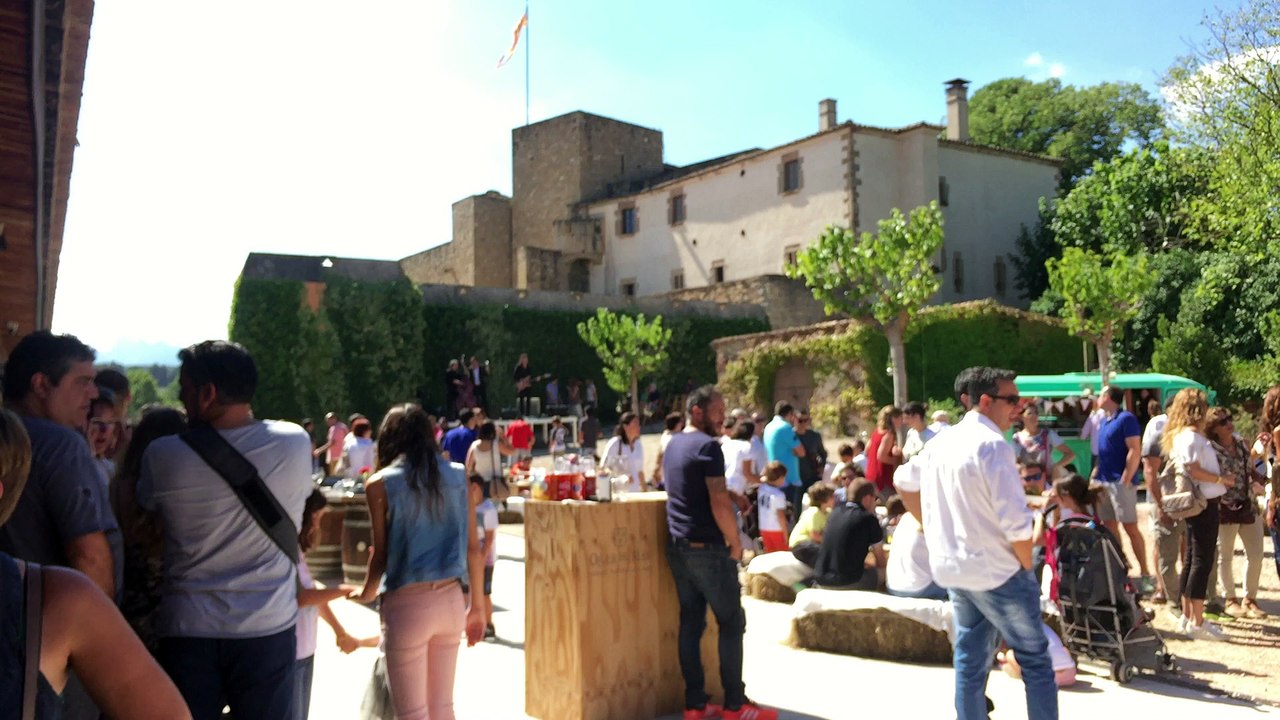FESTA DE LA VEREMA 2015 - OLLER DEL MAS : FESTA...