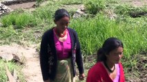 الناجون من زلزال النيبال يحملون المساعدات الى القرى النائية