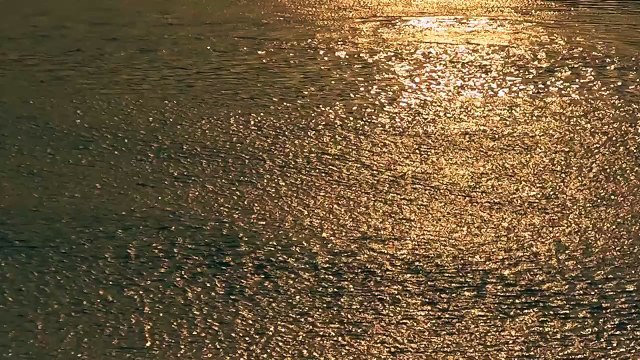 The beauty of The River Ravi Lahore