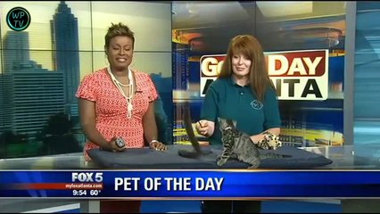 Lucu video - Gagal/Menang compilation July 2015 #6