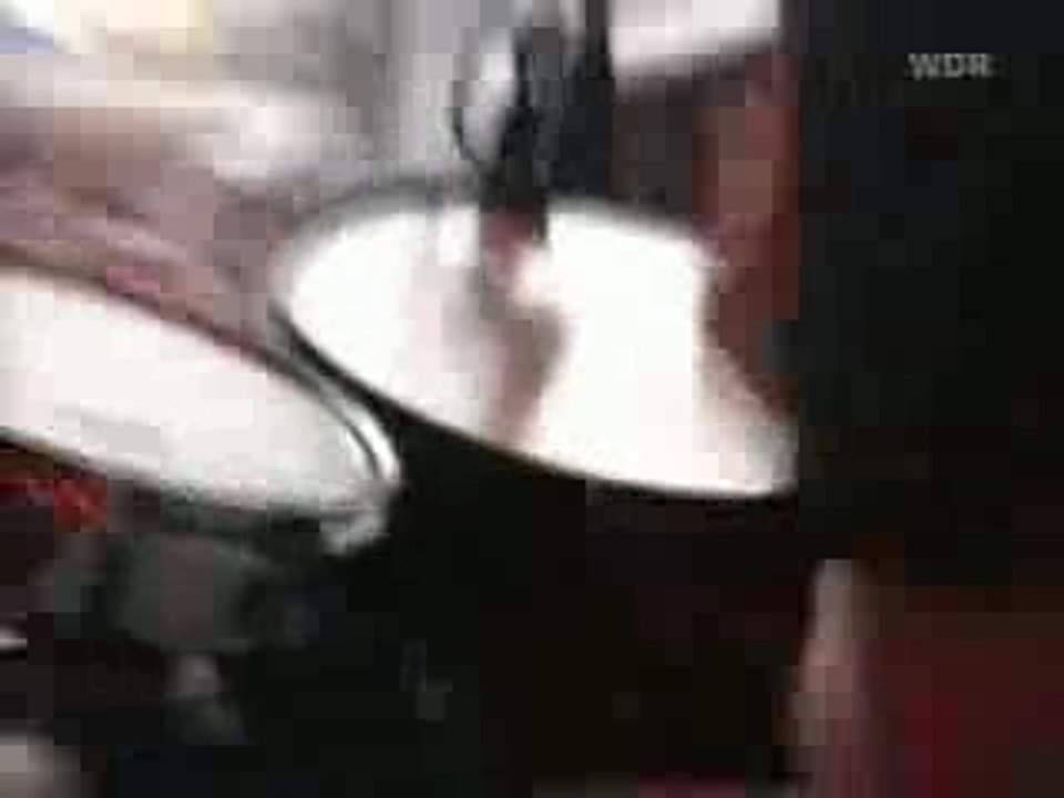 21st Century Digital Boy - Bad Religion