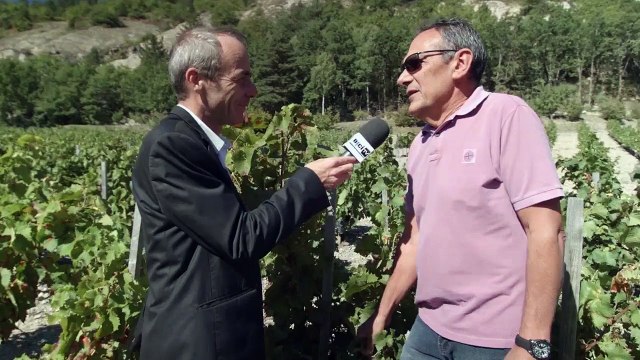 Hautes-Alpes : Régalez vous avec du mollard