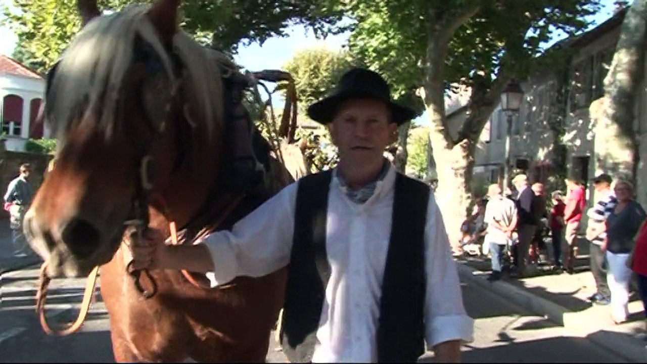 SAINT REMY DE PROVENCE QUELQUES IMAGES DE RENE COUDERT POUR MON AMI CHRISTIAN MALHERBE